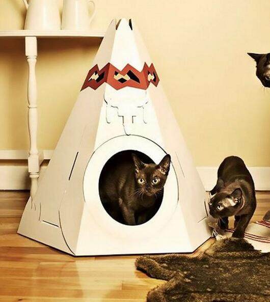 鏟屎官給小家伙準備的玩具,和自制的貓窩,腦洞奇特的避風港灣!